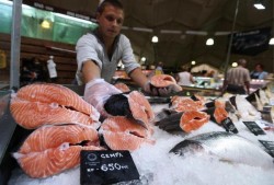 Россия ослабит санкции? Россия ослабит санкции?